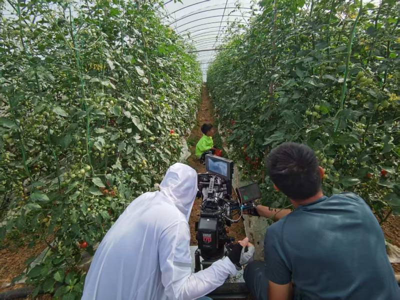 南岗区产品宣传视频拍摄公司进阶指南，助力品牌抢占传播高地